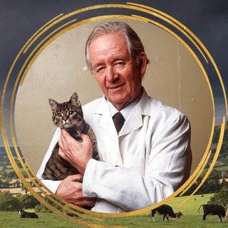 Канал   Джеймс Хэрриот, всеми любимый ветеринар