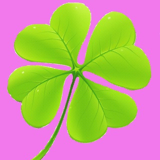 Канал   КВАМАКС Квартирный максимум