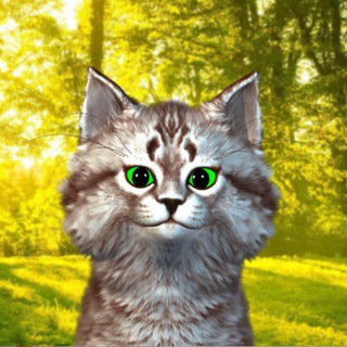 Канал   кот Экилибр. Все о медитации и ментальном развитии.