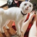 Канал Анекдоты и Приколы