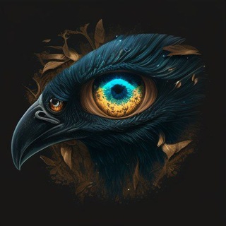 Канал   Созвездие Ворона