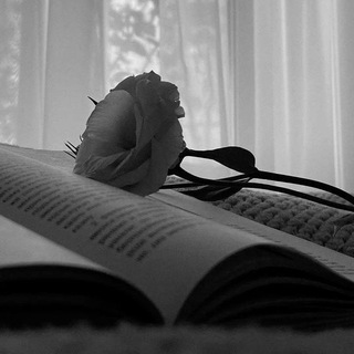 Канал   📚Fearn | Подборки книг