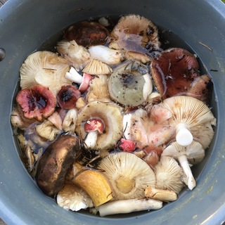 Канал   Не только про еду..