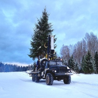 Канал   Сервис БиС питомник деревьев