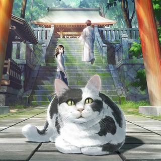 Канал   Котуризм 🐈