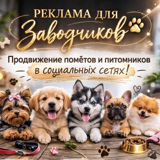Канал   Зоообьявления щенки, котята, реклама производителей, услуг итд