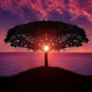 Канал   Закаты Мира