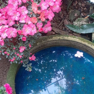 Канал   Эстет из трущоб