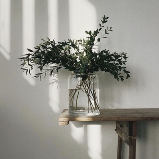 Канал   Светлая сторона