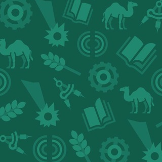 Канал   Челябинский общественный транспорт