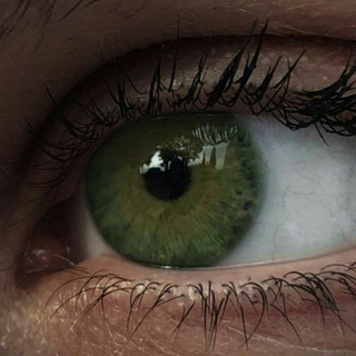 Канал   Мир зелёными глазами 🧝‍♀эстетика