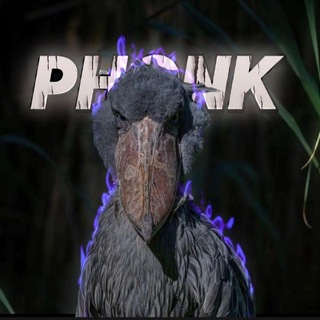 Канал   𝙏𝙁𝘾 •ᴘʜᴏɴᴋ•