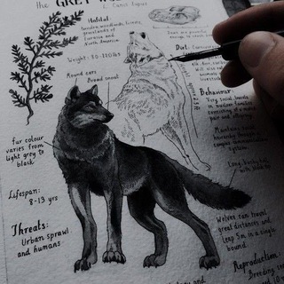 Канал   ɸᥙ᧘ьⲙы