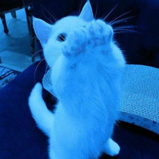 Канал Картиночки/аватарочки