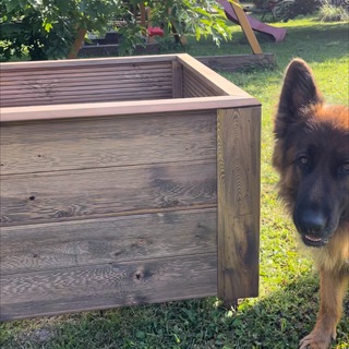 Канал   Моспил. Грядки из лиственницы.