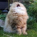 Канал Творожные депресарики