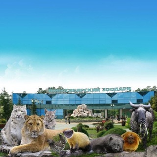 Канал   Новосибирская язва