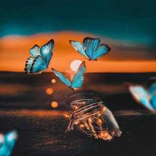 Канал   Stylish psyche | Психология | Семейная психология | коучинг