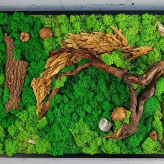 Канал   Gangarium - декор интерьерный