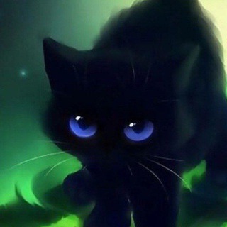 Канал   Кото|Логия