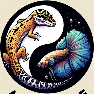 Канал   AquaScale - АкваТерра Студия