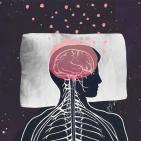 Канал Дневник снов | Блог сомнолога Кораблина