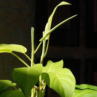 Канал   Смешные метафоры для серьёзных людей, а также анекдоты и афоризмы со смыслом.