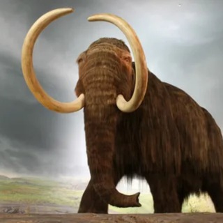 Канал   Евгений Пантела не вывозит