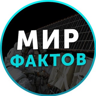 Канал   Мир Фактов