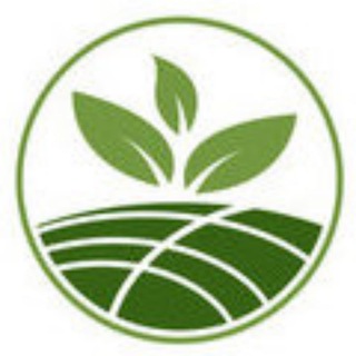 Канал   Садовые Растения Оптом Крым /черенки/сеянцы/саженцы/ОКС/ЗКС