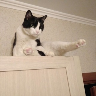 Канал   Анекдоты на мой вкус