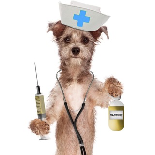 Канал   Доктор для друзей 🩺