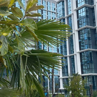 Канал   Мой Дом Кубань