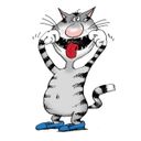 Канал Мир кошек