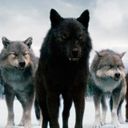 Канал Записки туриста