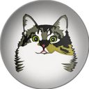 Канал Инди Синди. Веган рецепты