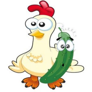 Канал   Куры поливают огурцы (КПО)