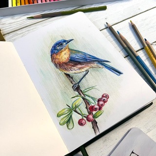 Канал   Анжелика | art & life