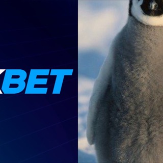 Канал 𝓟𝓔𝓝𝓖𝓤𝓘𝓝 𝓖𝓞𝓛𝓓𝓔𝓝 🐧
