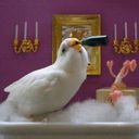 Канал Berlin Biased