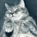 Канал Мастер пера