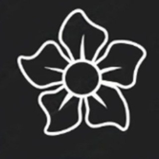 Канал   BQT F5 | plush flora