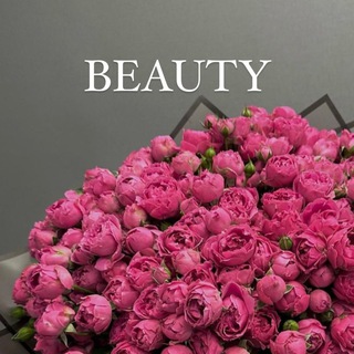 Канал   БЬЮТИ БИЗНЕС 💰