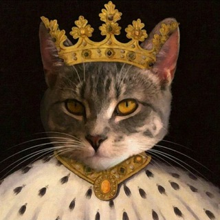 Канал   Котороль