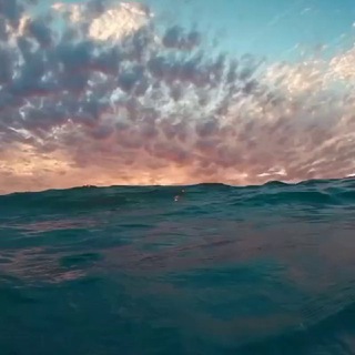 Канал   Аутентичное Движение и телесность