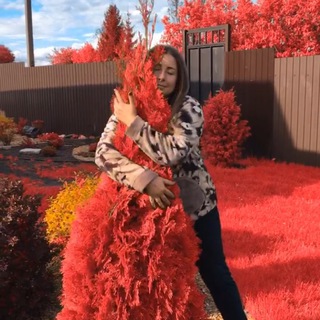 Канал   ired.cap