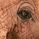 Канал Созерцатель