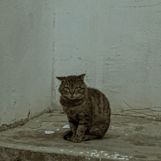 Канал   🎞 BlessTheDream✨