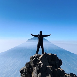 Канал   Трейдинг умы