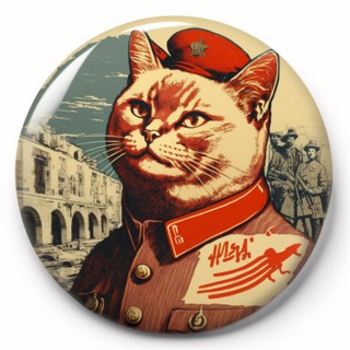 Канал   Всегда котов!